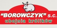 Firma Borowczyk S.C.